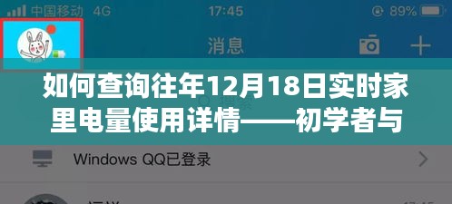 如何查询往年12月18日家中电量使用详情,初学者与进阶用户指南