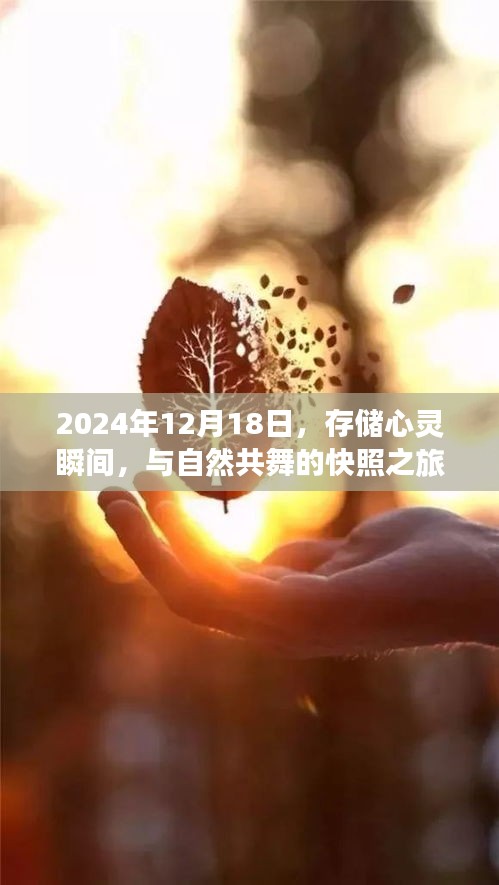 心灵与自然共舞的快照之旅,定格时光于2024年12月18日