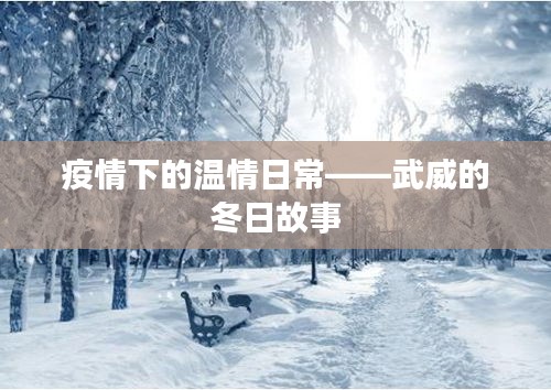 武威冬日故事,疫情下的温情日常