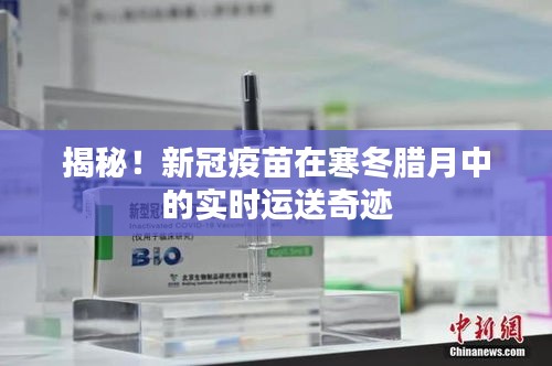 新冠疫苗寒冬腊月中的运输奇迹揭秘