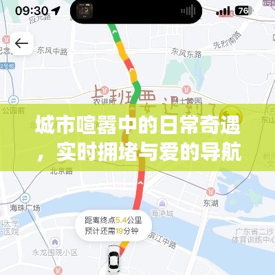 城市生活的奇遇与导航,拥堵与爱的交织