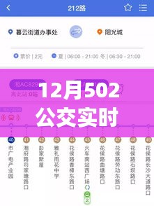 12月502公交实时到站查询步骤详解