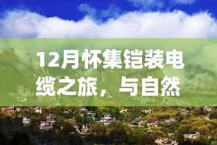 12月怀集铠装电缆之旅,与自然美景的邂逅,探索内心宁静之道