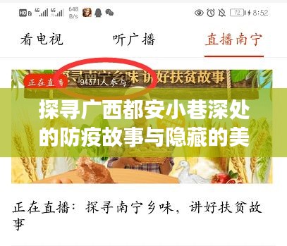 广西都安小巷深处的防疫故事与美食秘境探寻