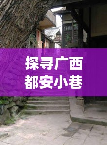 广西都安小巷深处的防疫故事与美食秘境探寻