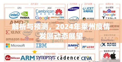 2024年莱州疫情发展动态解析与预测展望