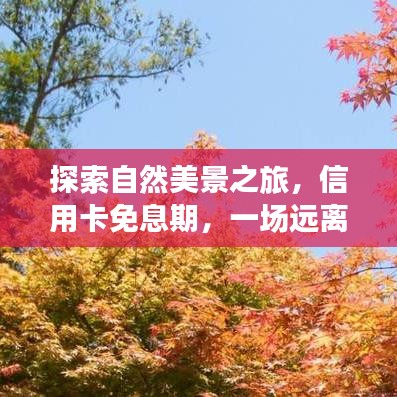 自然美景探索之旅,信用卡免息助力心灵净化之旅