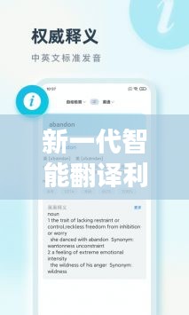 2024译界新星实时说话翻译软件评测报告,新一代智能翻译利器