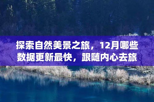探索自然美景之旅,揭秘十二月最新数据更新,随心而动开启旅行篇章!