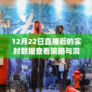 12月22日直播数据深度解析,实时策略、多维度洞察与价值探索