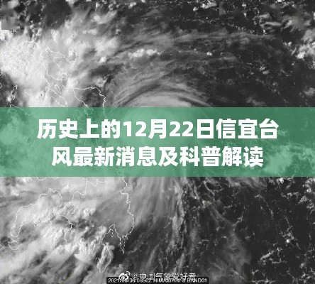 历史上的12月22日信宜台风动态更新及科普解读