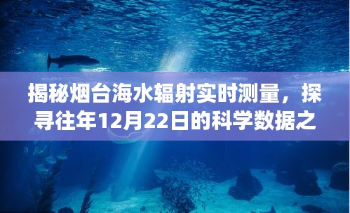 七贵三公 第3页