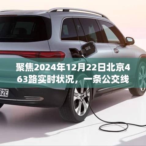 北京公交463路变迁与观点碰撞,聚焦实时状况与未来展望(2024年12月22日)