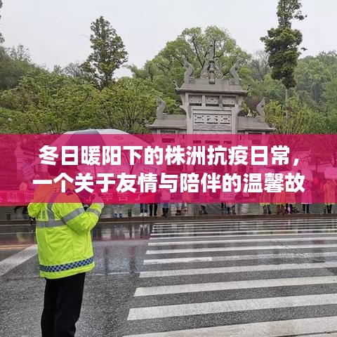 鸢飞戾天 第3页