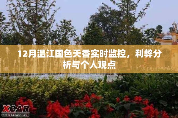 12月温江国色天香实时监控,利弊分析与个人观察