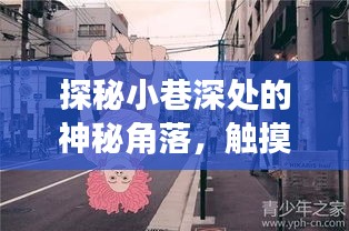 探秘十二月魔法小巷的隐秘时光