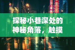 探秘十二月魔法小巷的隐秘时光