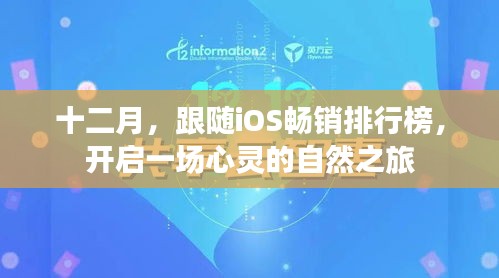 十二月iOS畅销排行榜引领的心灵自然之旅