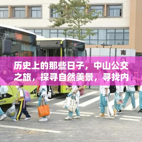 中山公交之旅,探寻历史与自然美景,寻找内心平静的艺术之旅