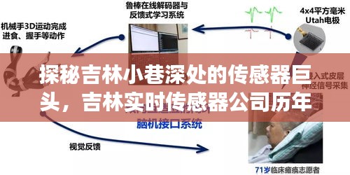 吉林小巷深处的传感器巨头揭秘,吉林实时传感器公司历年排名背后的传奇故事