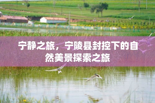 宁陵县封控下的自然美景探索之旅,宁静之旅的别样体验