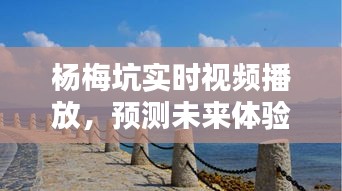杨梅坑实时视频播放,未来体验的全面解析与展望