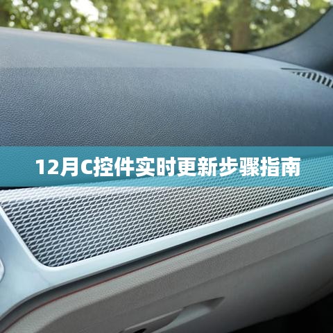 C控件实时更新步骤指南(12月版)