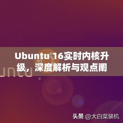 笼中之鸟 第3页