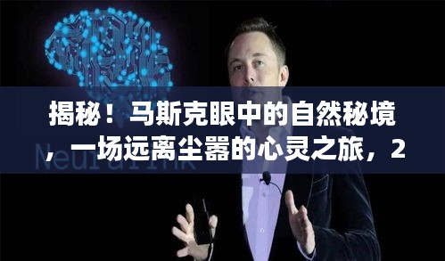 马斯克引领的心灵之旅,揭秘自然秘境与推特实时更新揭秘(2024年12月22日更新)