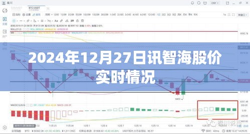 智海股价最新动态,2024年12月27日实时行情分析