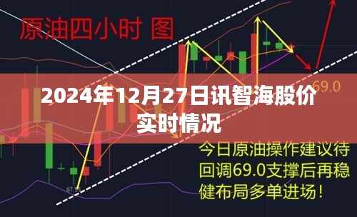 智海股价最新动态,2024年12月27日实时行情分析