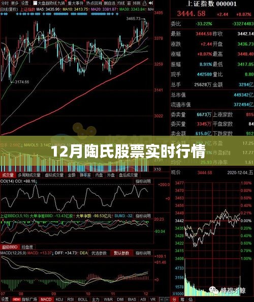 陶氏股票12月实时行情分析