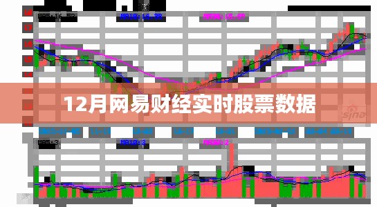 网易财经实时股票数据更新(12月版)