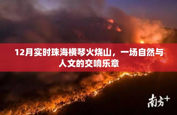 珠海横琴火烧山,自然人文交响乐章,12月盛景瞩目