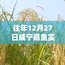 眉清目秀 第3页
