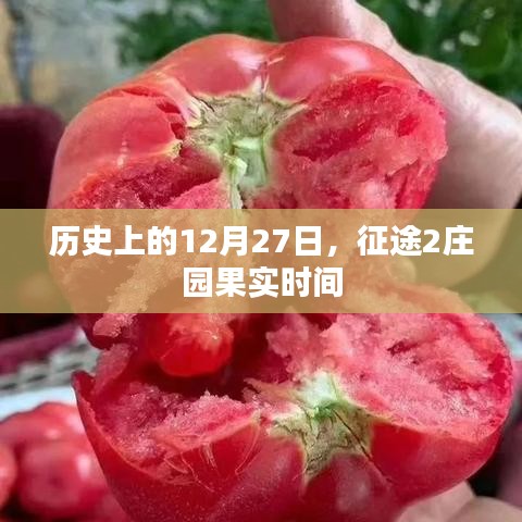 征途庄园果实时间揭秘,历史上的今天回顾