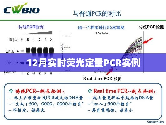 实时荧光定量PCR实验操作实例解析(12月版)