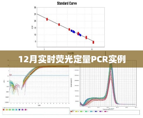 实时荧光定量PCR实验操作实例解析(12月版)