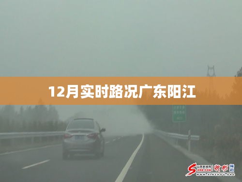 广东阳江实时路况报告(最新更新)
