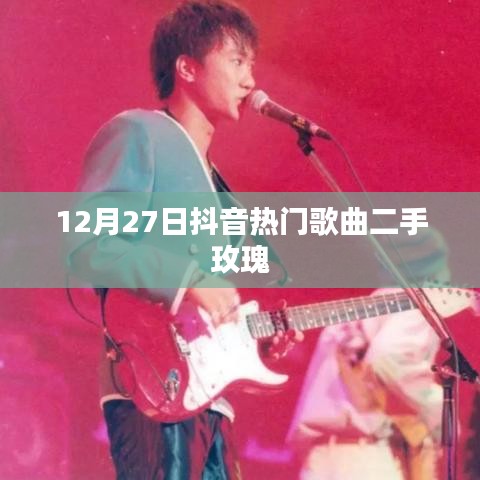 抖音热门歌曲二手玫瑰 12月27日盘点