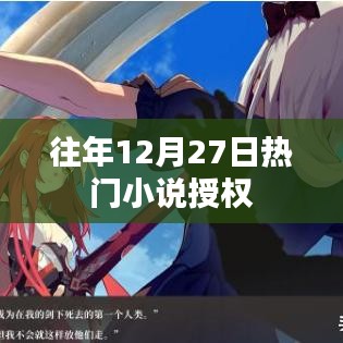 往年12月27日热门小说授权盘点