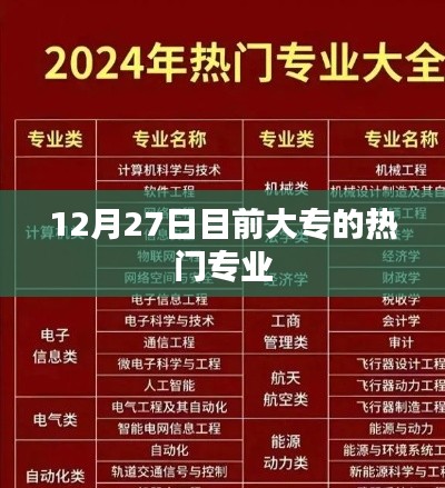 大专热门专业榜单揭晓,12月27日最新趋势分析