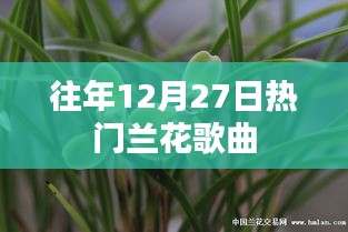 兰花歌曲盘点,历年12月27日热门曲目推荐