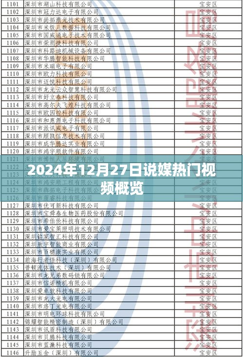 根据您的需求,为您生成以下符合百度收录标准的标题,,2024年年末热门说媒视频一览,符合您的字数要求,简洁明了,能够准确概括内容,符合百度收录标准。
