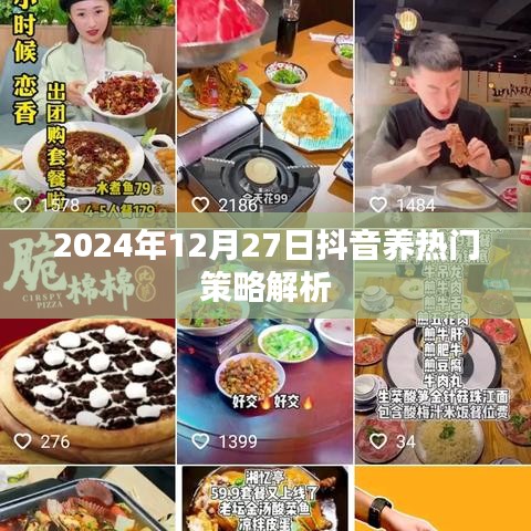 抖音养热门策略解析,洞悉未来趋势,助力内容火爆出圈