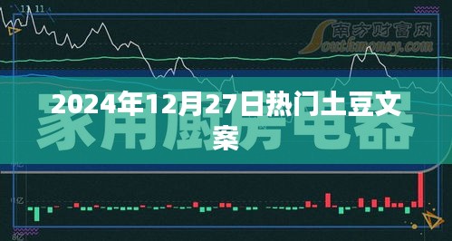 2024年12月27日土豆文案热门集锦