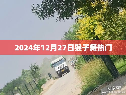 2024年猴子舞风潮,探秘热门背后的故事