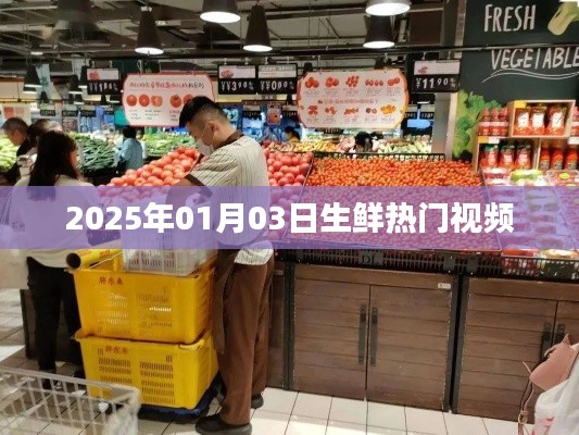 『2025年热门生鲜视频概览』