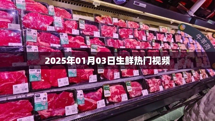 『2025年热门生鲜视频概览』