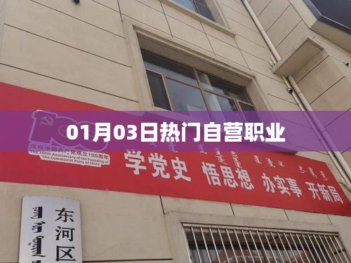 反正还淳 第3页